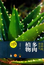 易种植,净空气 多肉植物