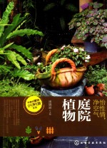 怡性情,净空气 庭院植物