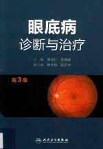 眼底病诊断与治疗 第3版