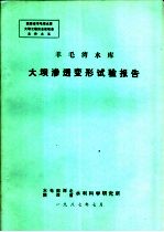 羊毛湾水库大坝渗透变形试验报告