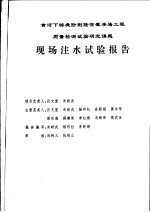 黄河下游堤防荆隆宫截渗墙工程质量检测试验研究课题 荆隆宫截渗墙现场注水试验报告