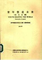 青年塑造未来论文文摘 1995年