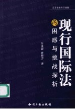 现行国际法的困惑与挑战探析