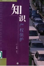 知识产权保护