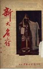 新大名府