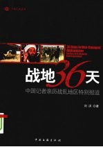战地36天：中国记者亲历战乱地区特别报道