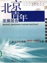 北京青年发展报告 北京青年指数 2005-2006
