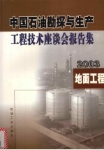 中国石油勘探与生产工程技术座谈会报告集 2003 地面工程