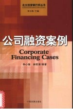 公司融资案例