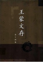王蒙文存 第十四卷 散文随笔 杂文（一）