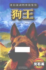 沈石溪动物小说鉴赏 狗王