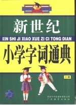 新世纪小学字词通典 上下
