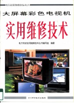 大屏幕彩色电视机实用维修技术