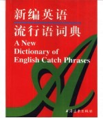 新编英语流行语词典