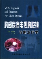 胸部疾病电视胸腔镜诊断治疗学