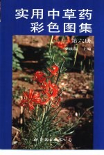 实用中草药彩色图集 第6册