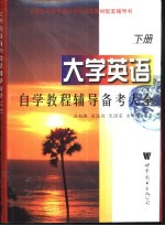 大学英语自学教程辅导备考大全 下