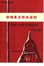 钢铁是怎样炼成的 改写本