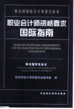 职业会计师资格要求国际指南 联合国国际会计和报告标准
