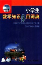 小学生数学知识多用词典