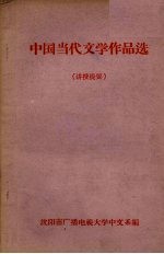 中国当代文学作品选(讲授提要)