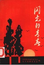 闪光的青春