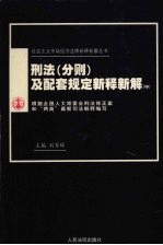 刑法分则及配套规定新释新解 中