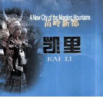 苗岭新都 凯里