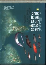 印度洋西北海域的鱼类