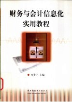 财务与会计信息化实用教程
