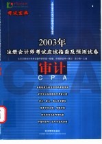 2003年注册会计师考试应试指南及预测试卷 审计