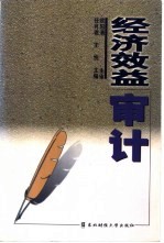 经济效益审计