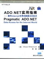 ADO.NET实用指南 面向Internet世界的数据访问技术