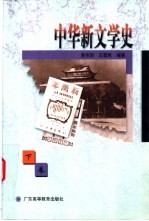 中华新文学史 下