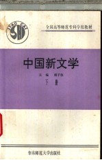 中国新文学 下