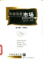 中国信息市场