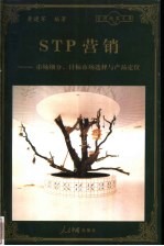 STP营销 市场细分、目标市场选择与产品定位