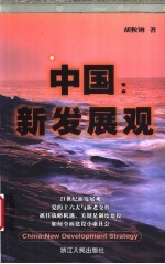 中国 新发展观