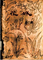 花城