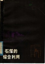 石煤的综合利用