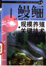 鳗鲡规模养殖关键技术