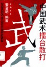 中国武术礌台散打