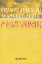 产业集群与网络组织
