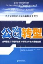 公司转型 全球著名公司组织变革与领导力开发的最佳案例