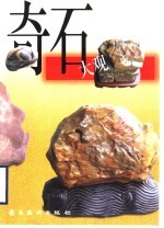 奇石大观