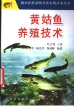 黄姑鱼养殖技术