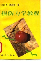 损伤力学教程