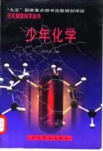 少年化学