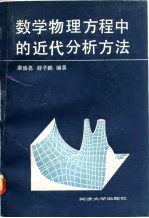 数学物理方程中的近代分析方法