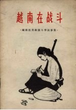 越南在战斗 越南抗美救国斗争故事集